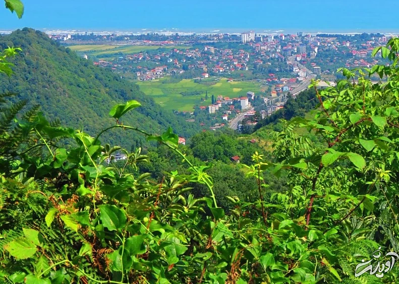 (تصاویر) آرامش جنگل‌های زیبای سرولات و جنگسرا